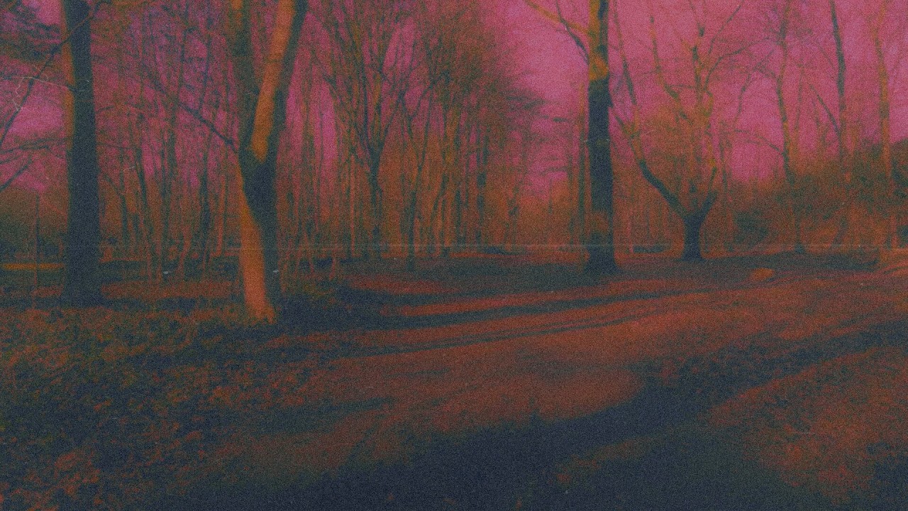 Woodland Trail | Nostalgic Ambient for Sleep and Meditation