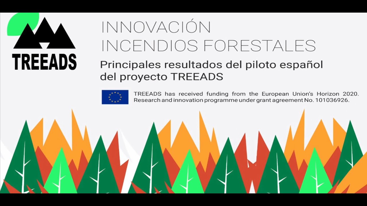 PROYECTO TREEADS - Piloto español