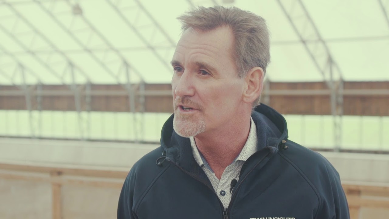 Irwin Insights - Working with Horses as a Leadership Model - Introduction