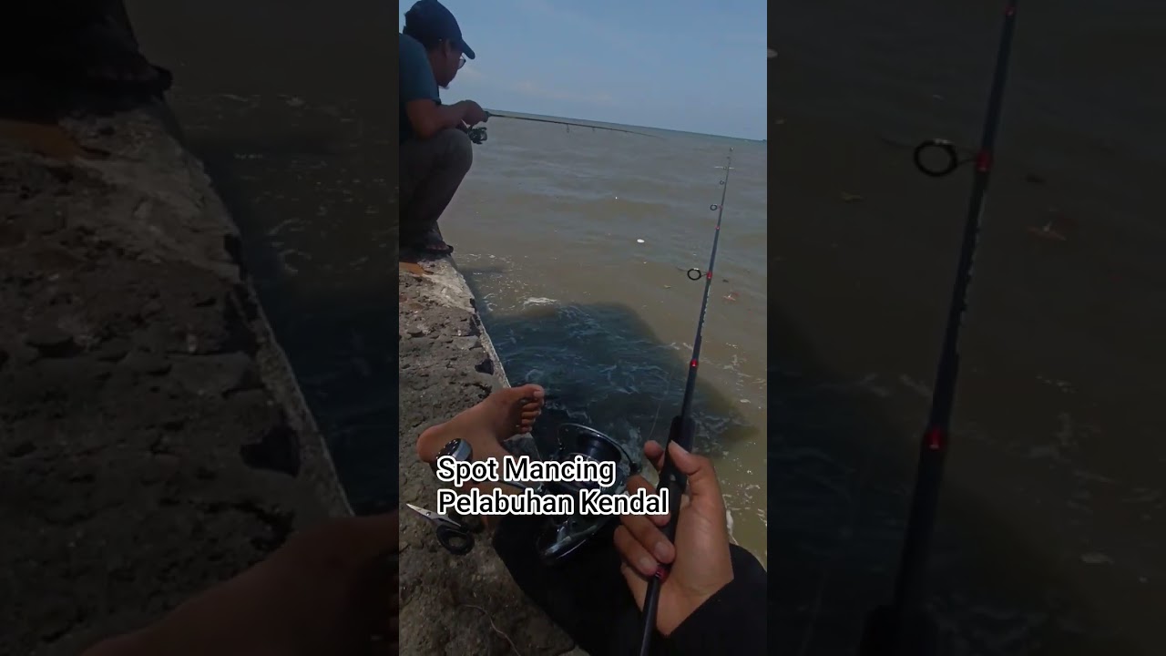 Spot Mancing Pelabuhan Kendal #fishing #mancingmania #fish #mancingmantap #fishing #horror #mancing