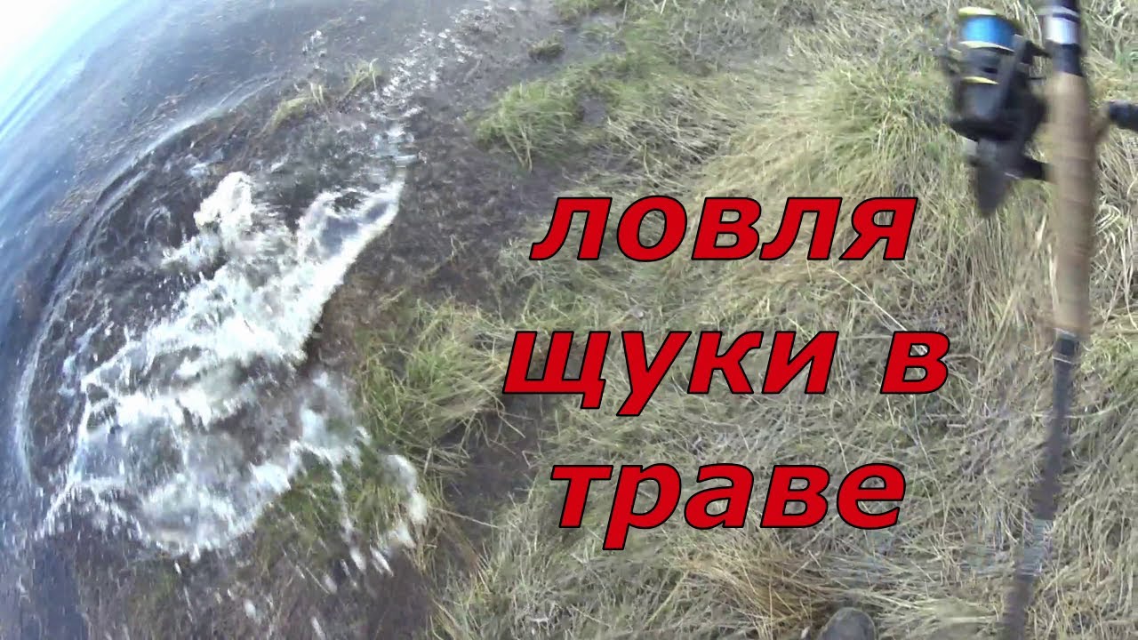 Ловля щуки в траве. Сезон открыт.