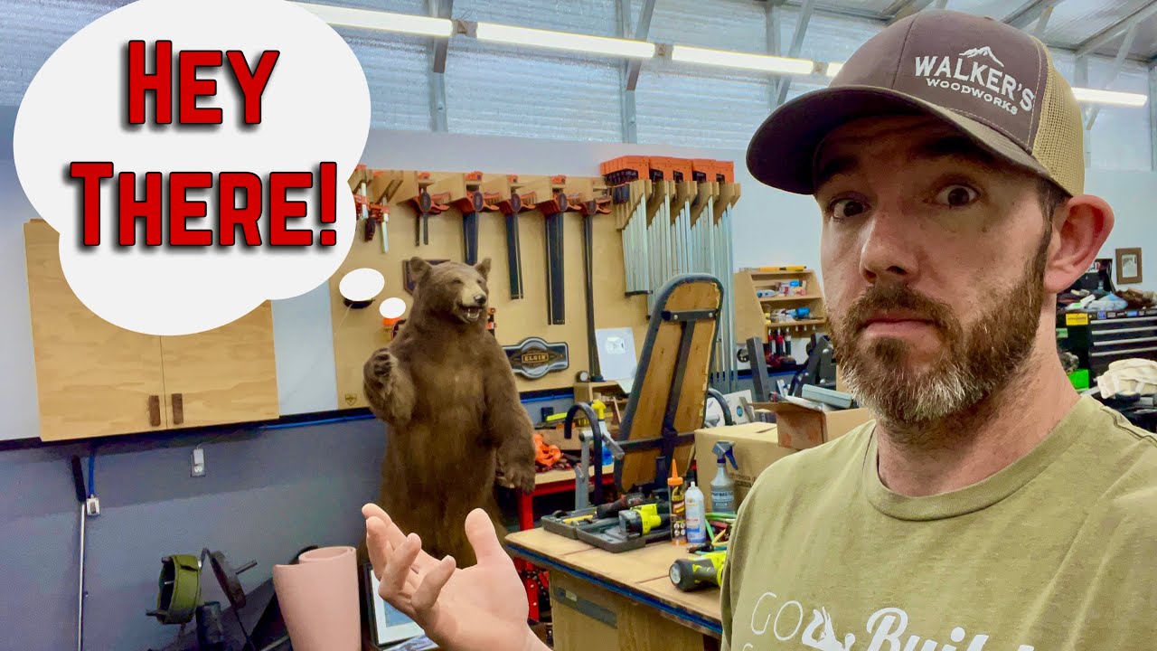 I Sold My Tools And Got A Bear! Shop And Channel Update!