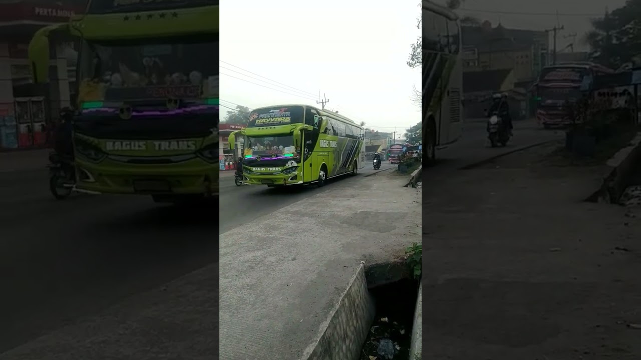 Bus Bagus Trans #basuri #fypシ #shotrs #bagustrans