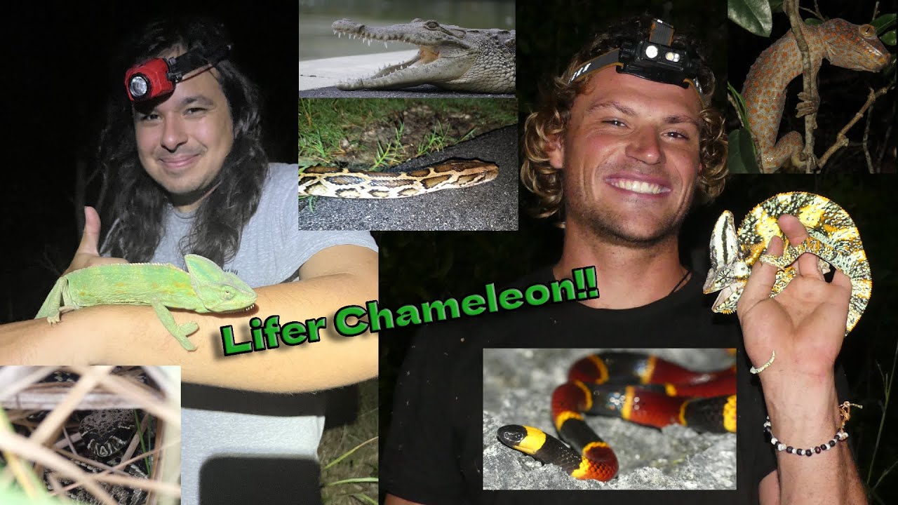 My Final Herping Adventure In The Everglades!