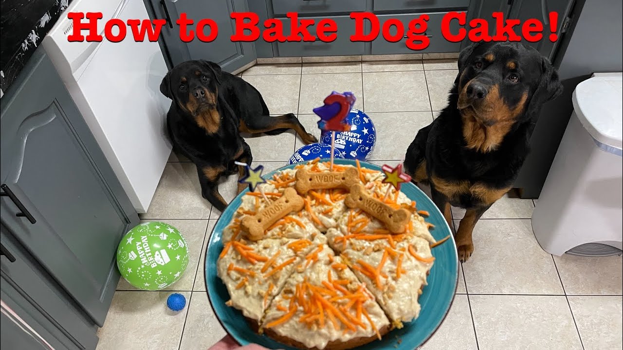 How to make Dog Birthday Cake! Rottweiler Party!