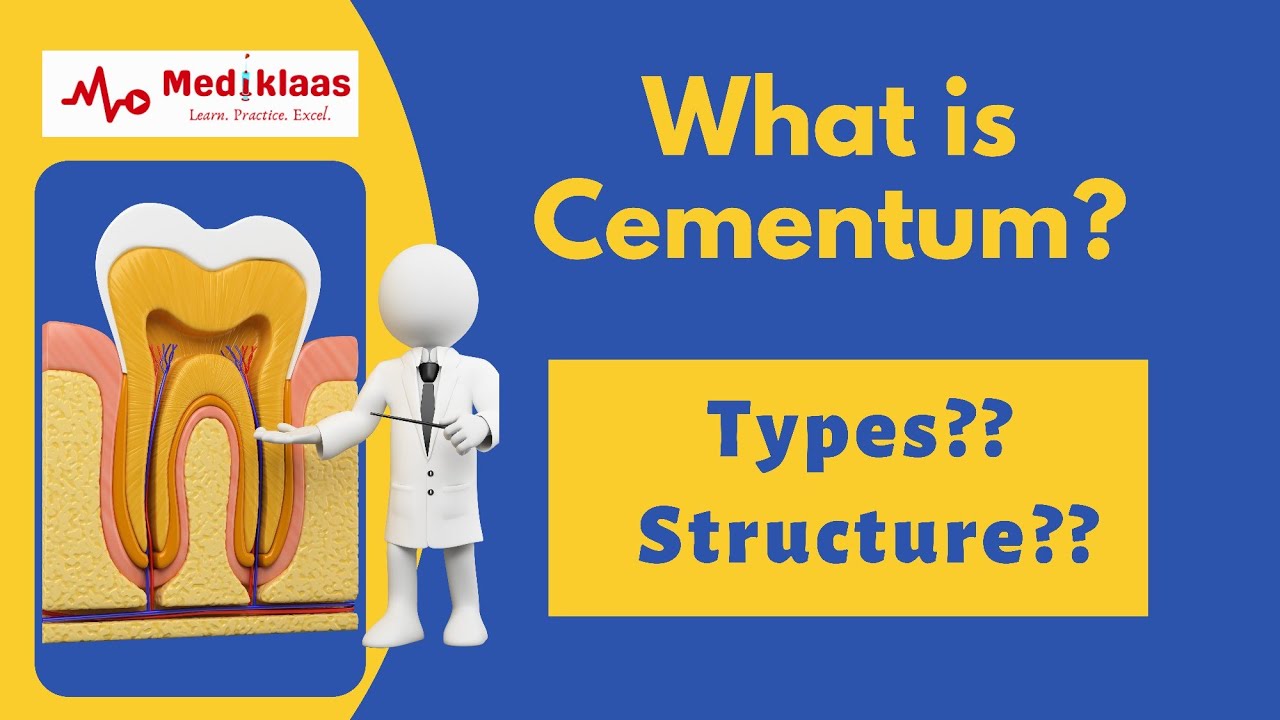 Cementum l Types l Cellular vs acellular l Mediklaas