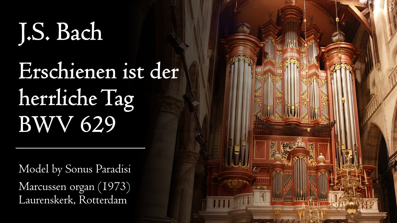 Bach - Erschienen ist der herrliche Tag, BWV 629 - Marcussen organ, Rotterdam, Hauptwerk