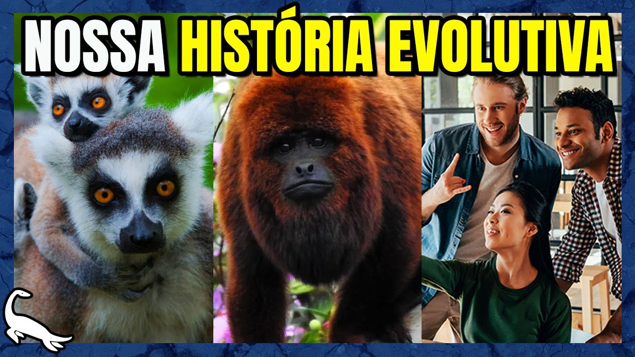 ORIGEM e EVOLUÇÃO dos PRIMATAS!