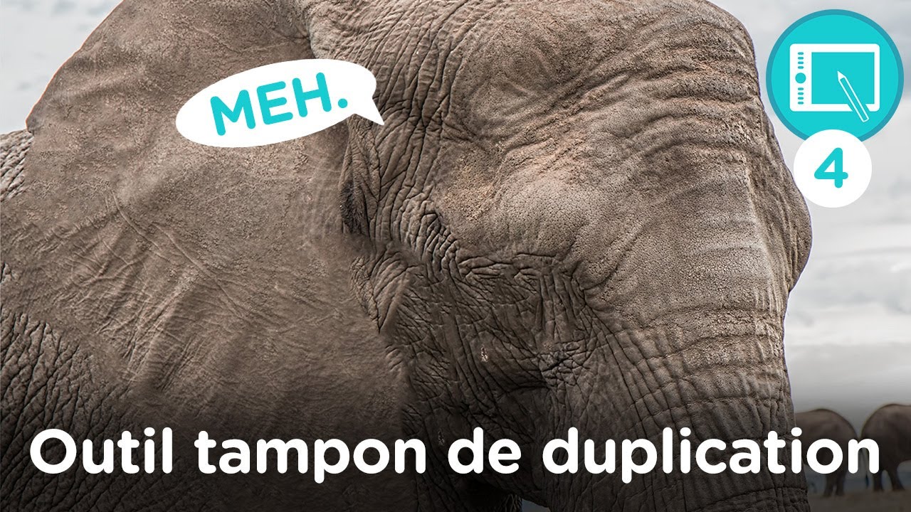4-TUTO : L'outil Tampon de duplication sur Photoshop - Prog 3
