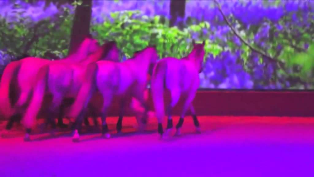 EQUI-LIBRE 27 mai 2015 - spectacle Tagadart - Benjamin Aillaud et sa troupe