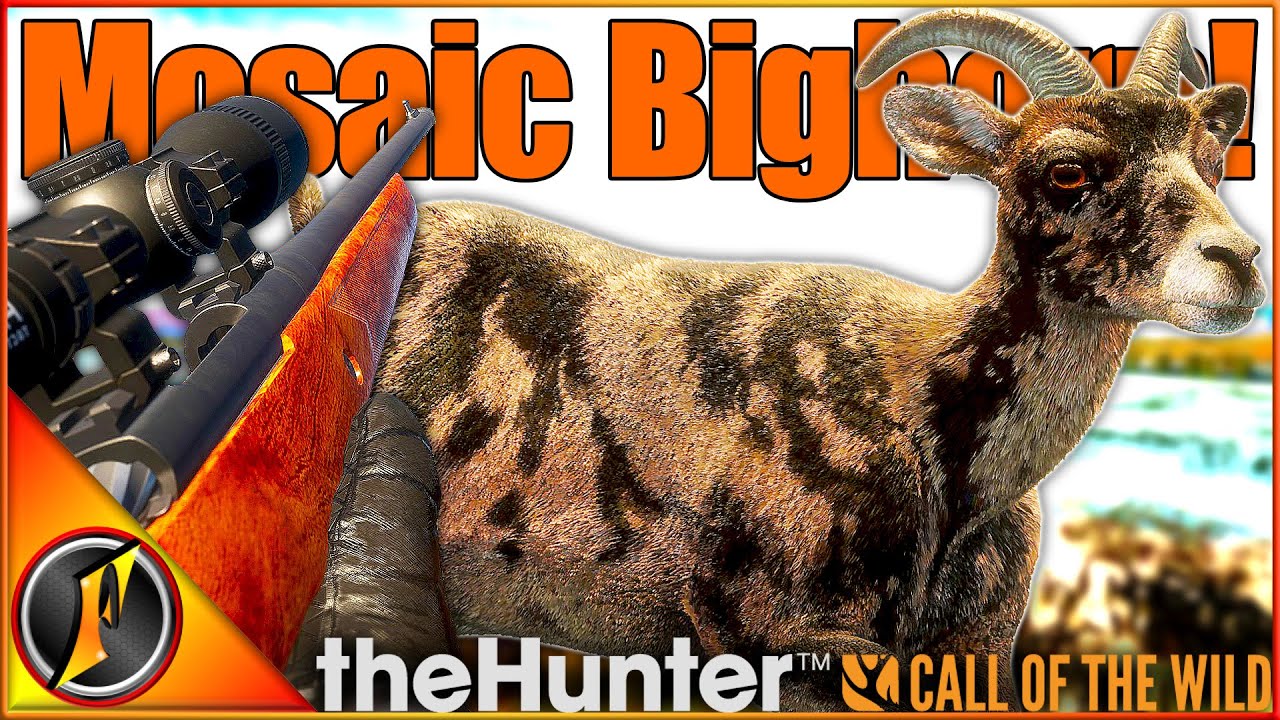 We Got A RARE MOSAIC Bighorn on Rancho Del Arroyo! | theHunter Call of the Wild