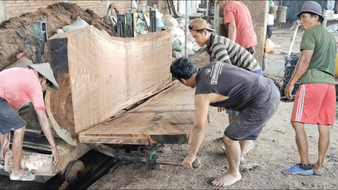 Bongkar trik penggergajian saw mill bandsaw | Trembesi lurus tanpa cacat bagaimana rahasianya