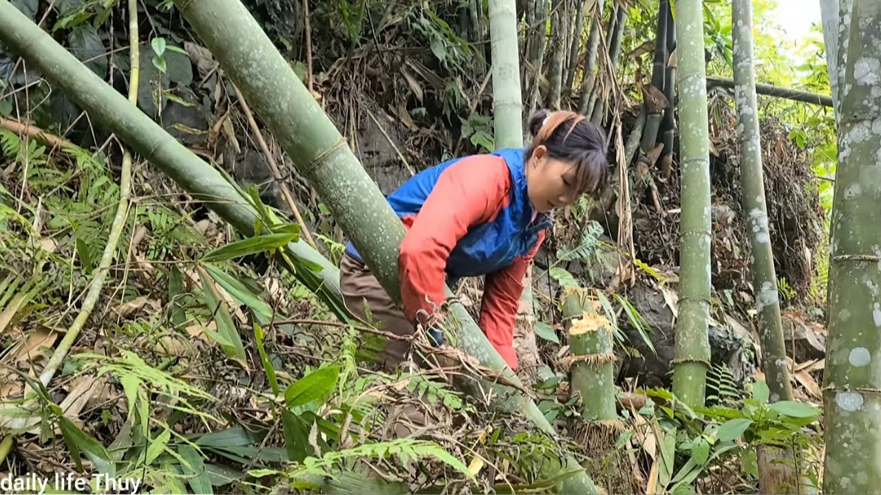 The girl who built the bamboo house alone - Daily Life Thuy