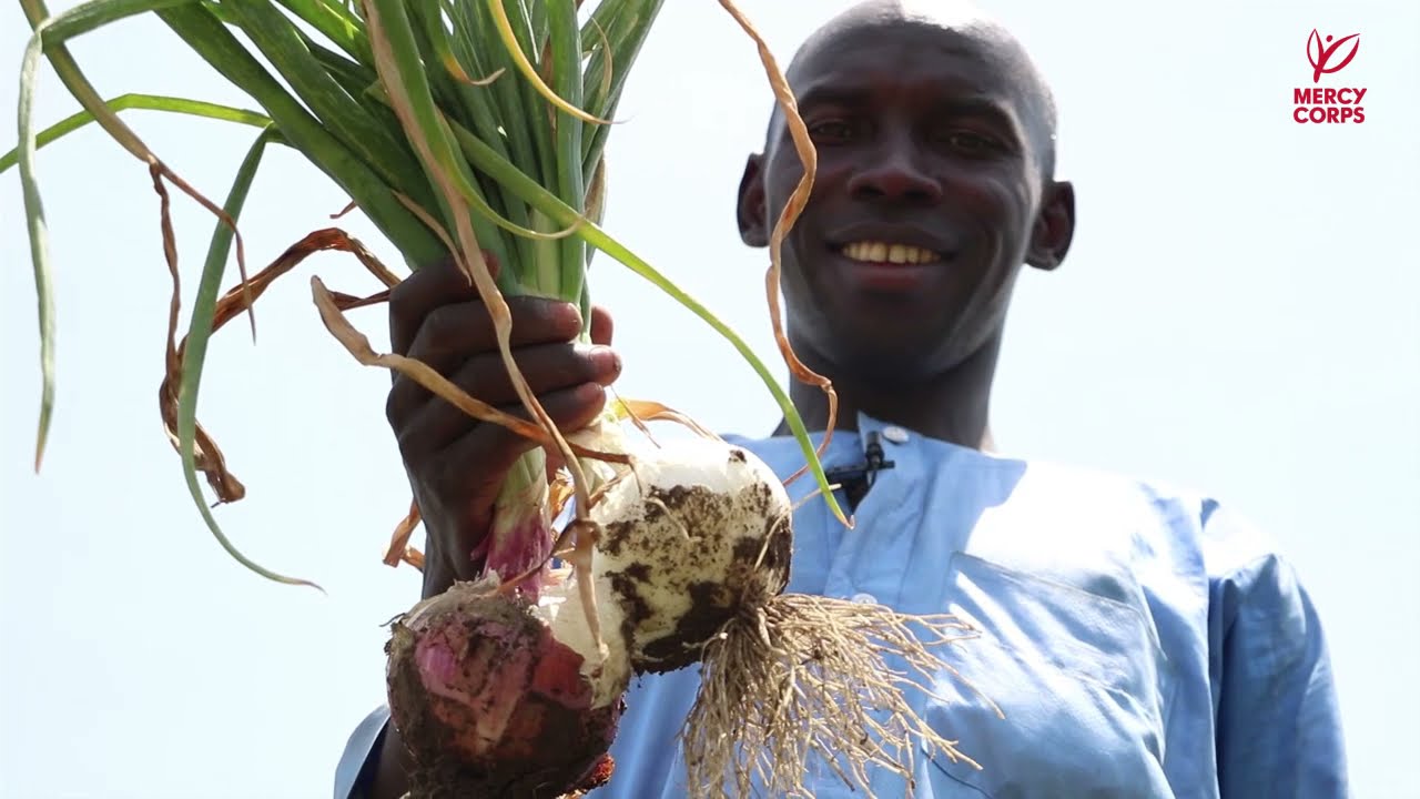 REACH4 Impact: Providing food security for the most vulnerable in Damboa, Borno state