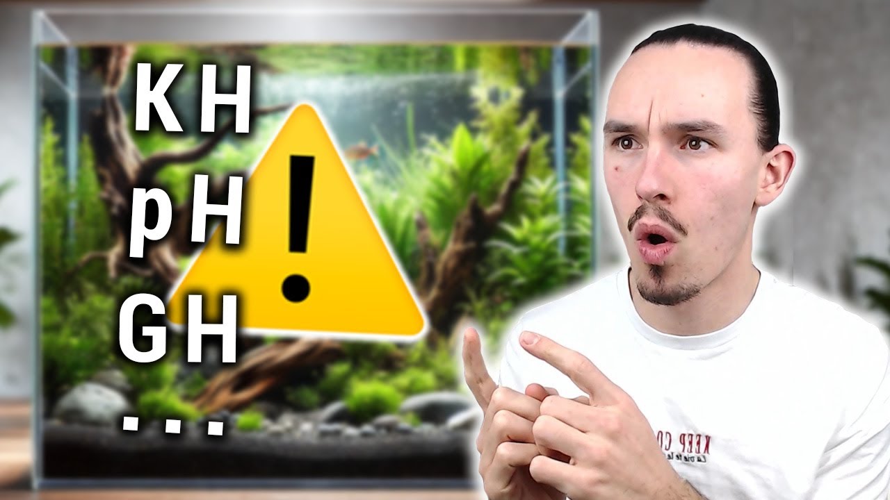PARAMÈTRES D'EAU en AQUARIUM : tout ce qu'il faut savoir