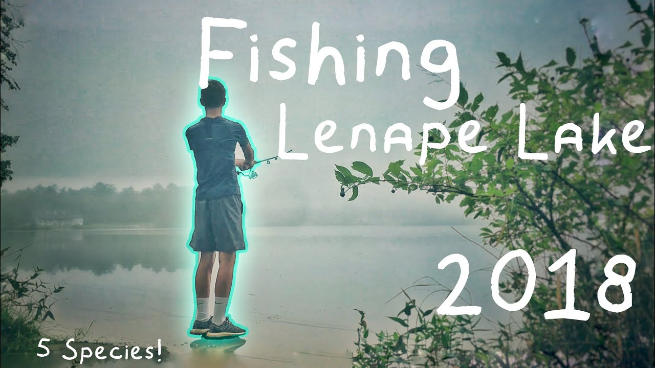 Multispecies BANK Fishing Lenape Lake NJ! (5 Species!) |May’s Landing, NJ|