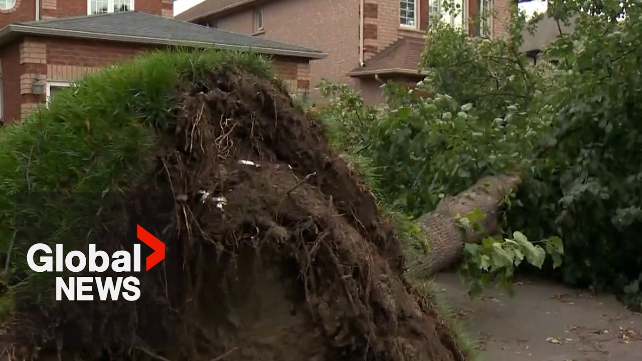 &ldquo;Oh my car, oh my house!&rdquo;: GTA residents assess damage, begin insurance claim process