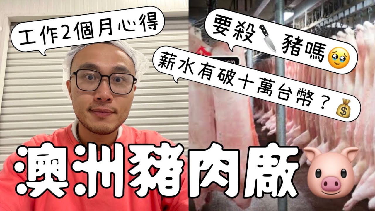 澳洲「豬肉廠」２個月工作心得！要殺豬嗎...？薪水有破十萬台幣？超推這間肉廠！ #澳洲 #打工度假 #肉廠 #集簽
