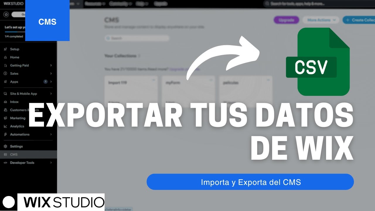 Aprende a Importar y Exportar de Wix CMS a CSV
