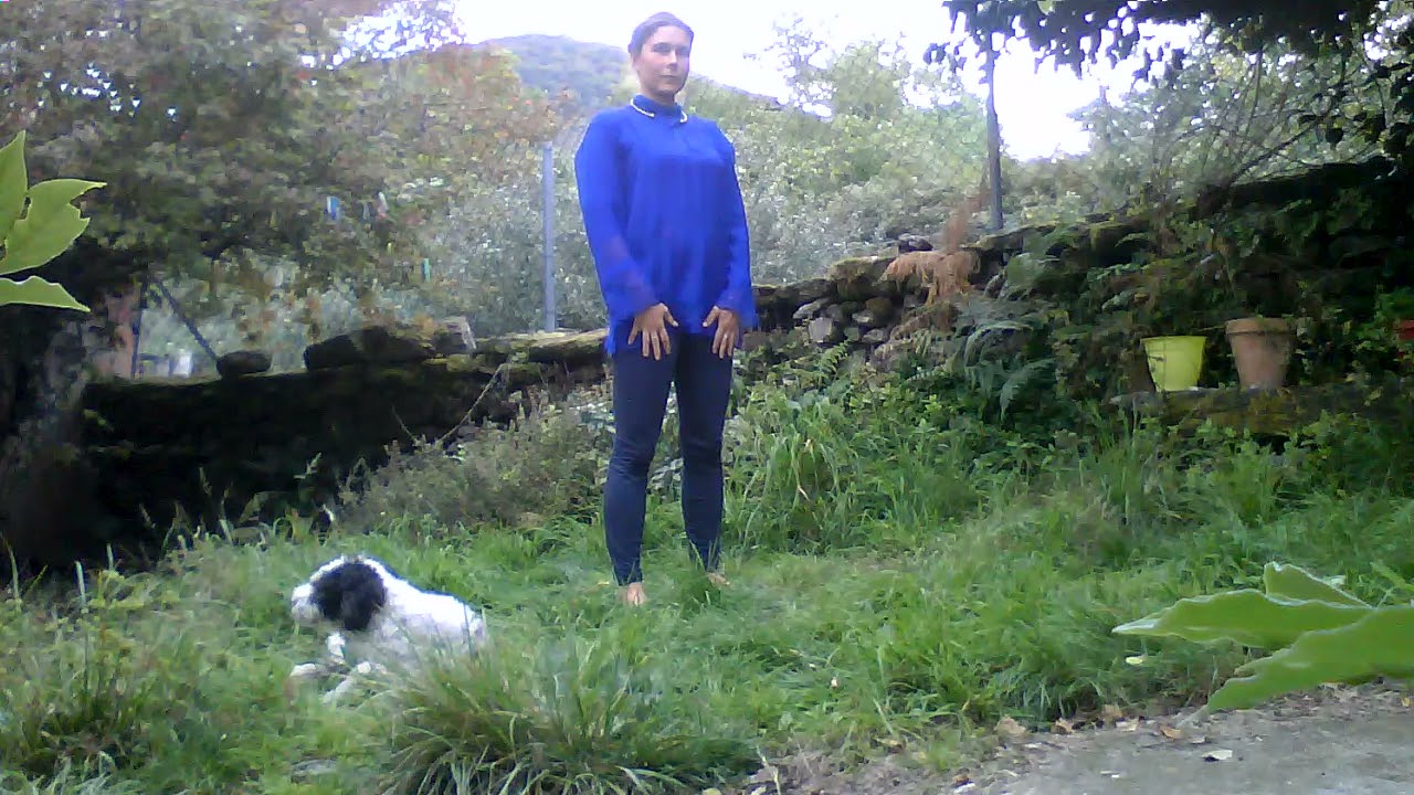10.  Deer Exercise; Wyda, Yoga of the Druids