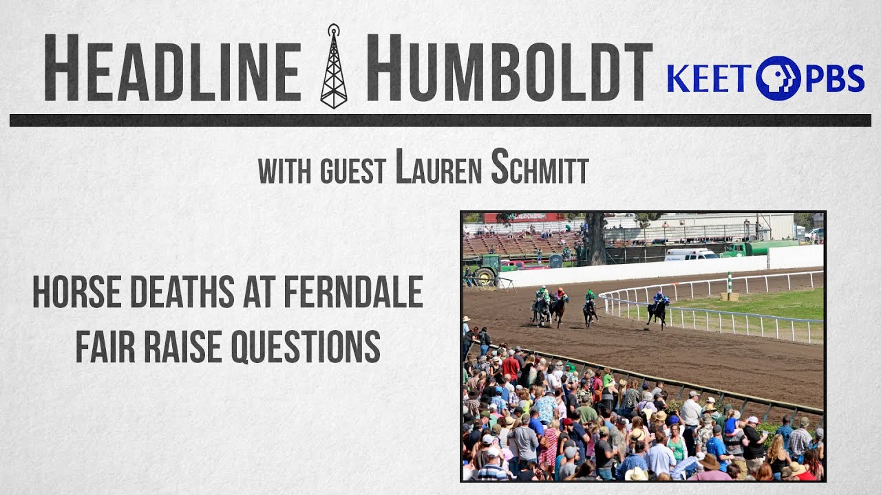 History of Eurekas Racial Zoning and Racehorse Deaths - Headline Humboldt
