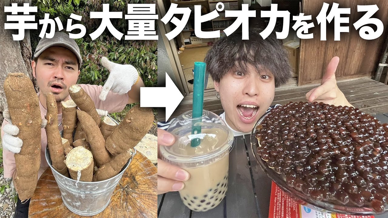 【爆飲み】キャッサバ芋から作る大量のつぶつぶ。タピオカミルクティーを原材料から作って爆飲みします！