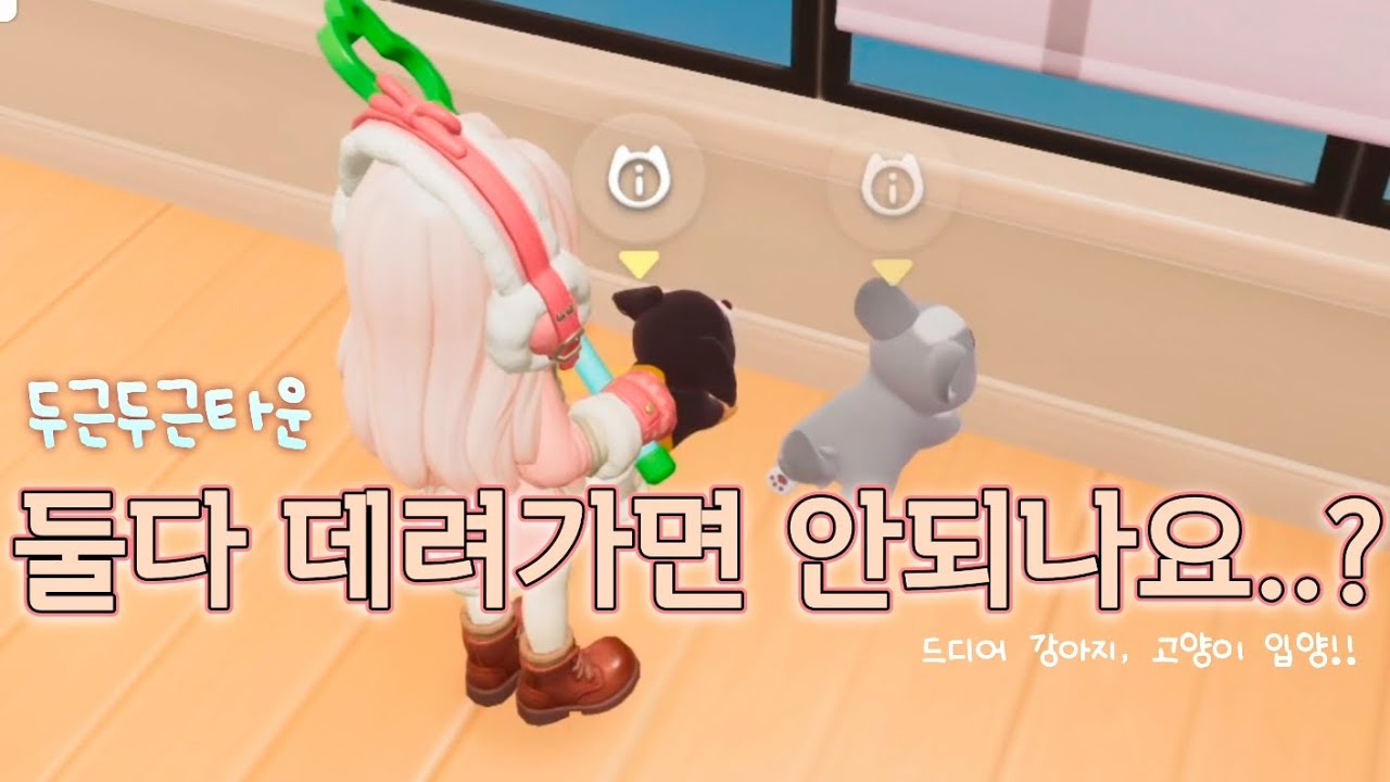 취미 레벨 올려서 멍냥이 입양하기! [두근두근타운]