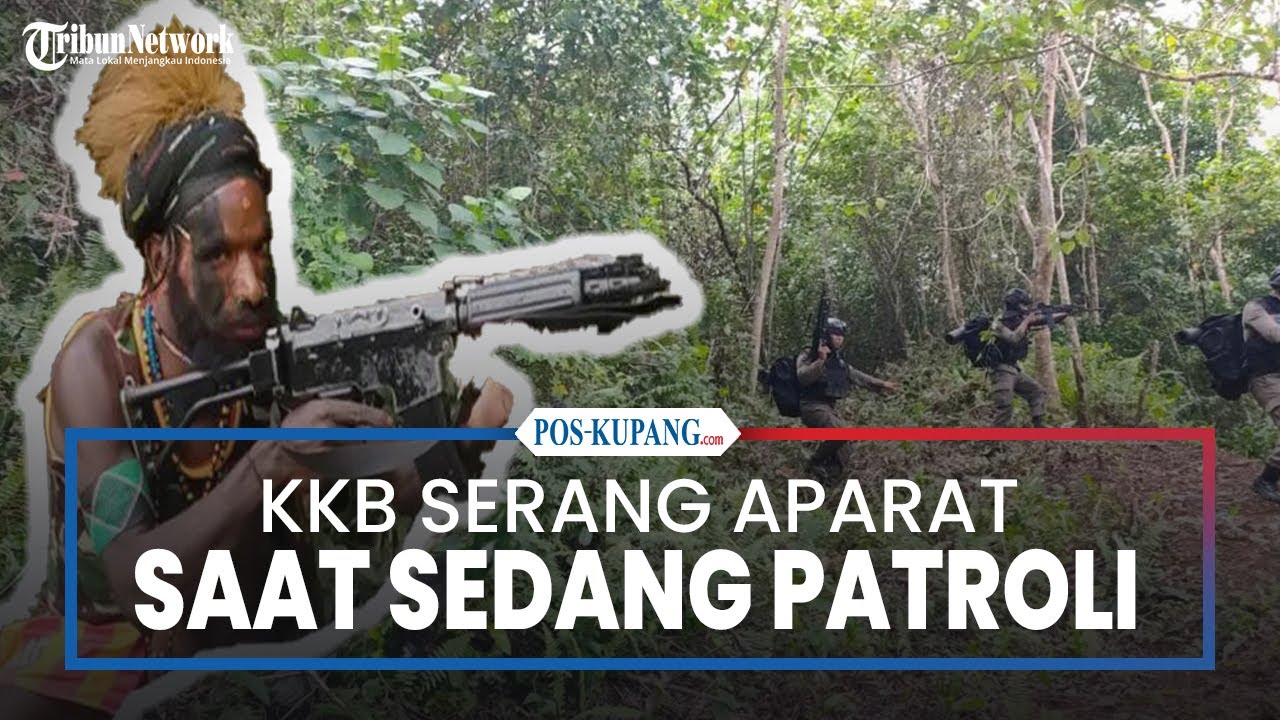 KKB Serang Aparat Saat Patroli di Pegunungan Bintang