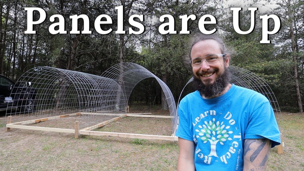 Cattle Panel Coop Build Continues