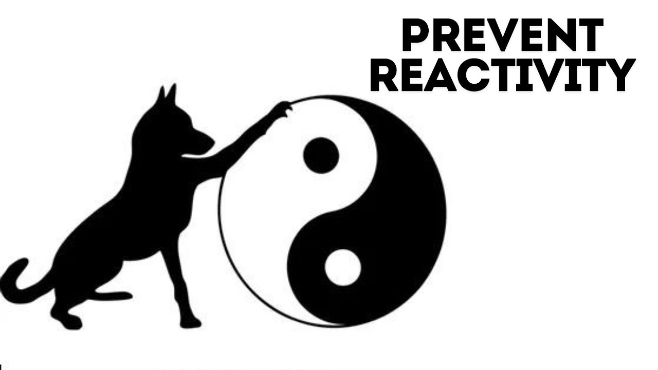 Preventing Reactivity in DOGS with the 