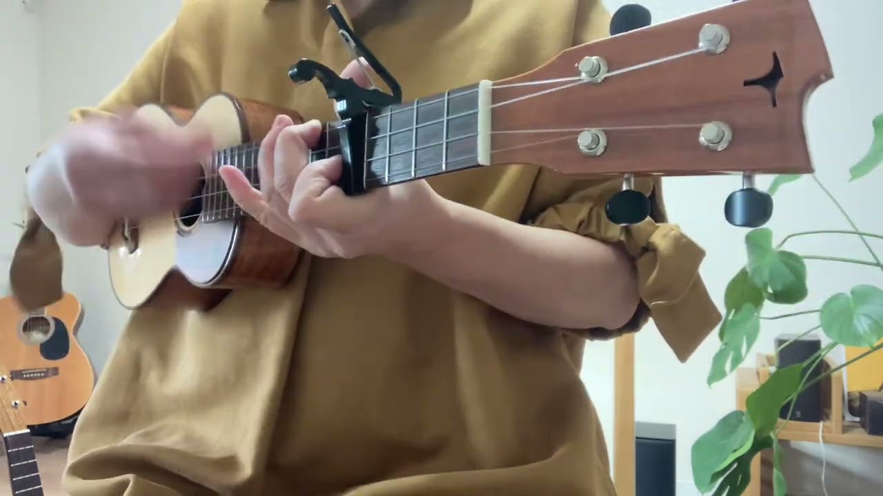 spitz／トビウオ／ウクレレ／弾き語り