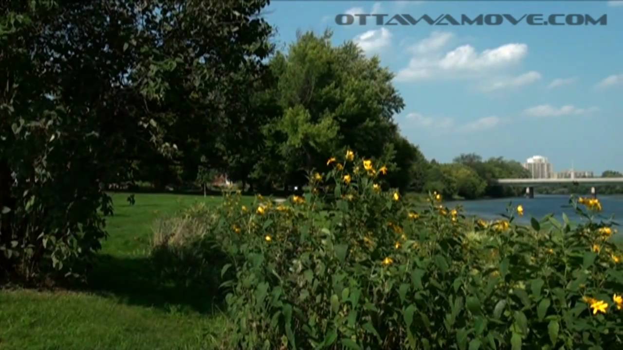 Ottawa East / Rideau Gardens
