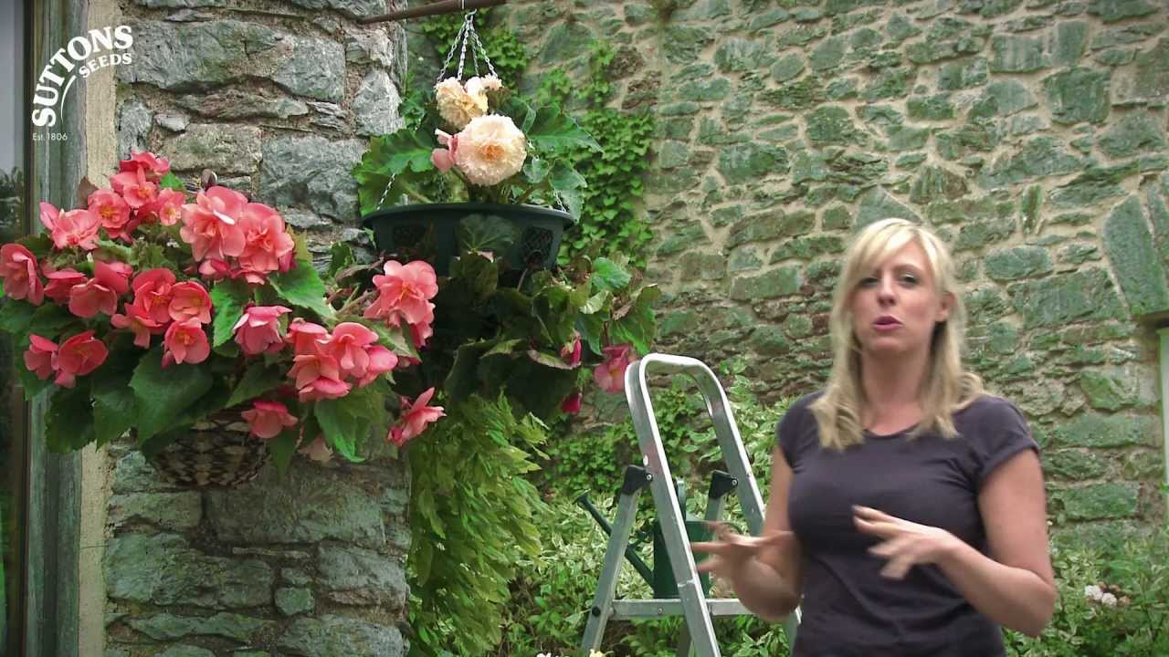 How To Plant a Hanging Basket