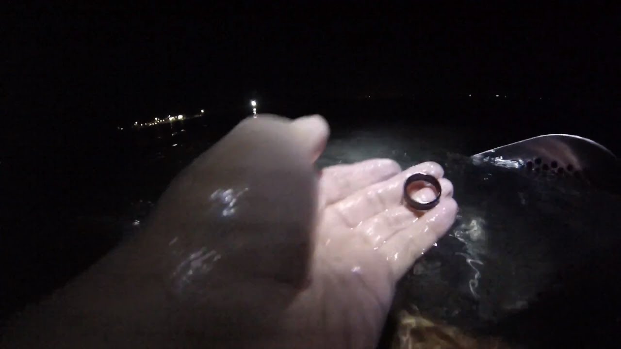 Found Treasure And lots Of Jellyfish  At Night