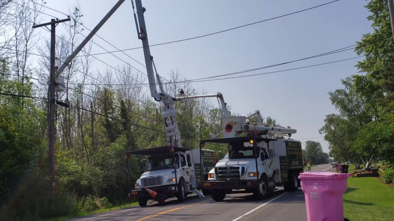 Tree Trimming Near Utility Poles
