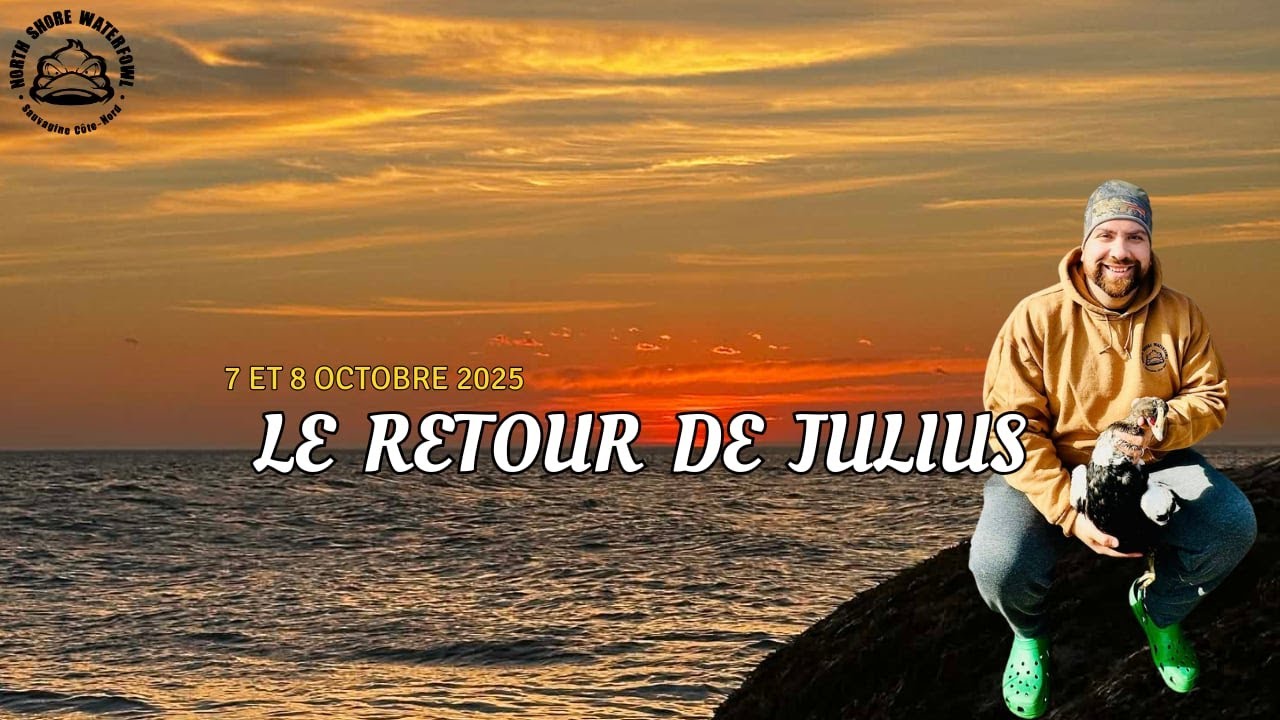 Le retour de Julius
