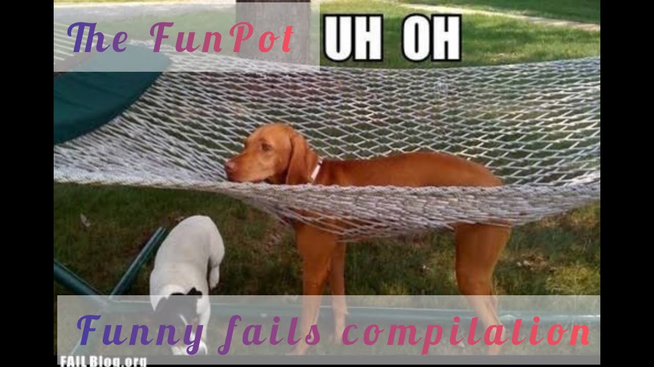 Funny fails compilation 2022 l Fails of the year l My FunPot l Funny fails of the year