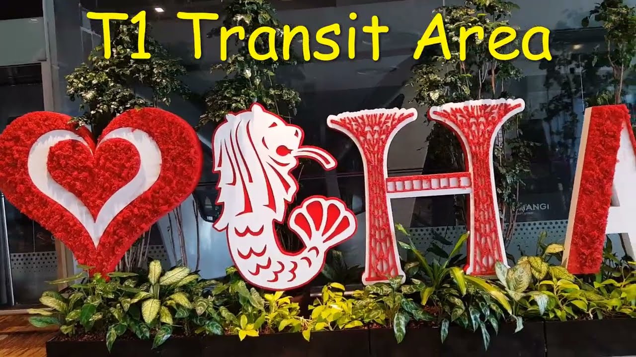 Terminal 1 and Terminal 3 Transit Changi Airport Singapore July 2022