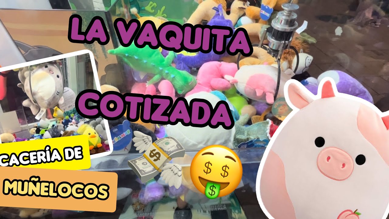 Encontramos la vaquita cotizada de muñelocos 🐮🐄 ¿Logró salir?