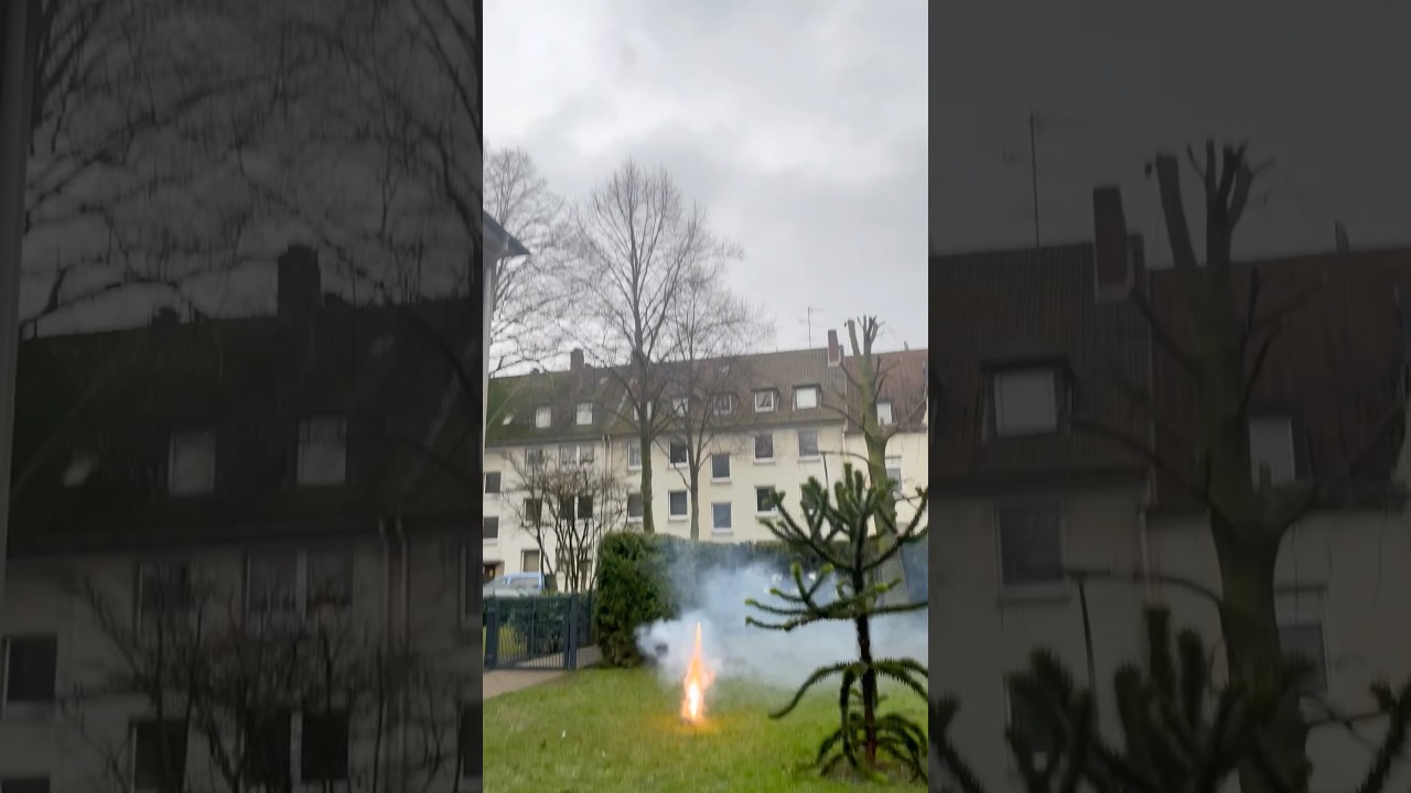 🧨Silvester Batterie🧨