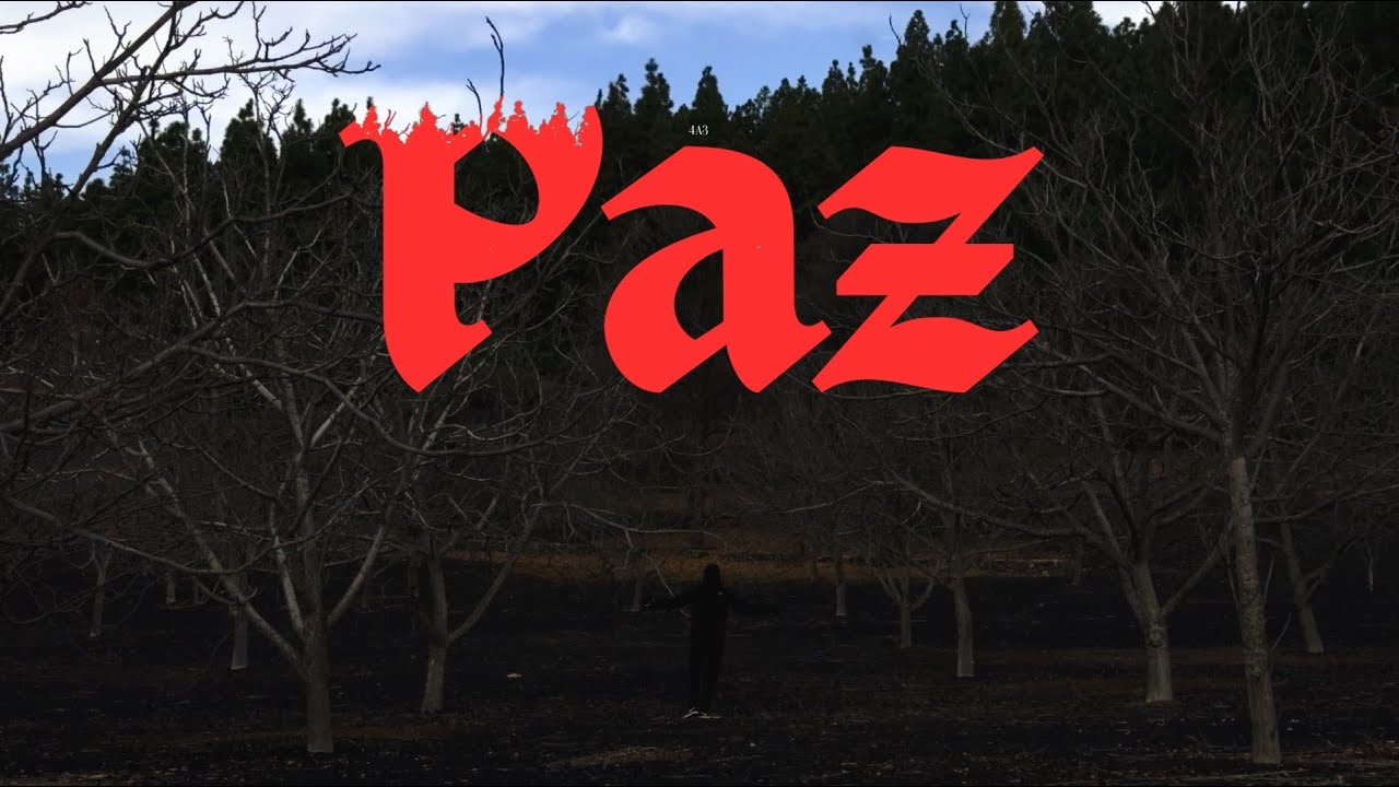 Jacobino - Paz (Prod. RAMC) [Official Music Video]
