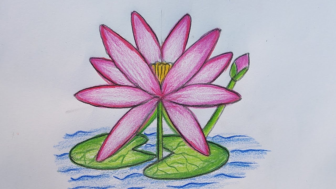 Easy way to draw a lily step by step.#lily #painting #art#asmr #shorts #flowers 