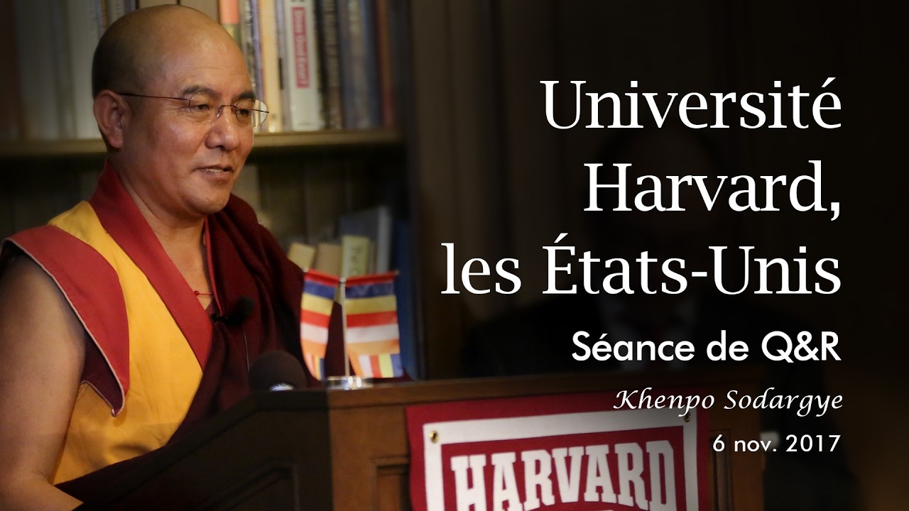Regard intérieur, marche en avant ｜【向内看，向外走】问答  #sagessebouddhiste  #harvard  #spiritualité