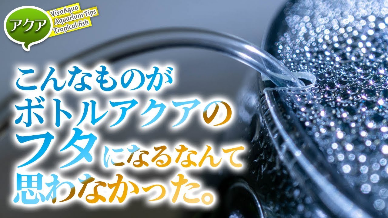#アクアリウム ボトルアクアのフタはアレで代用できた！ 【ビバアクア】