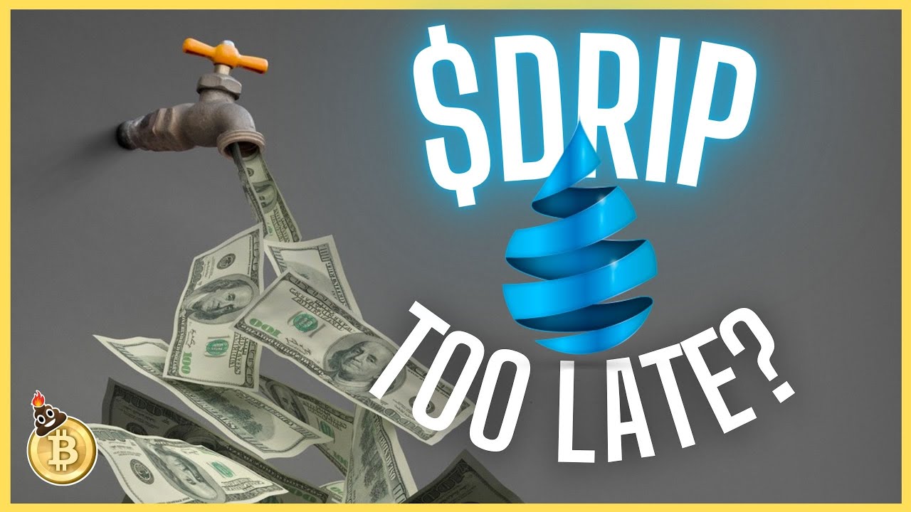 DRIP NETWORK : How Long Can This Last?