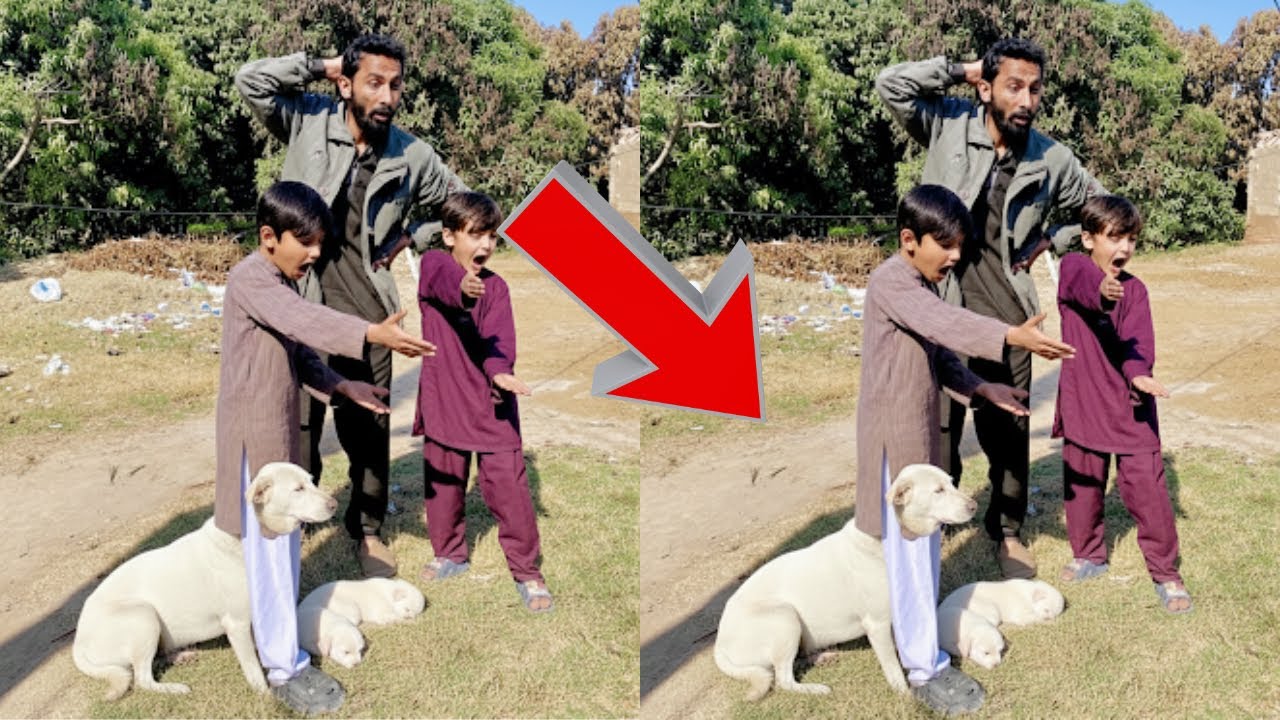 Aaj Hairan Kun Ajeeb Waqia Dekhne Ko Mil Gaya 😲