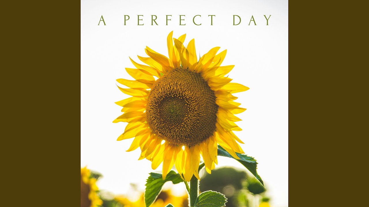 A Perfect Day