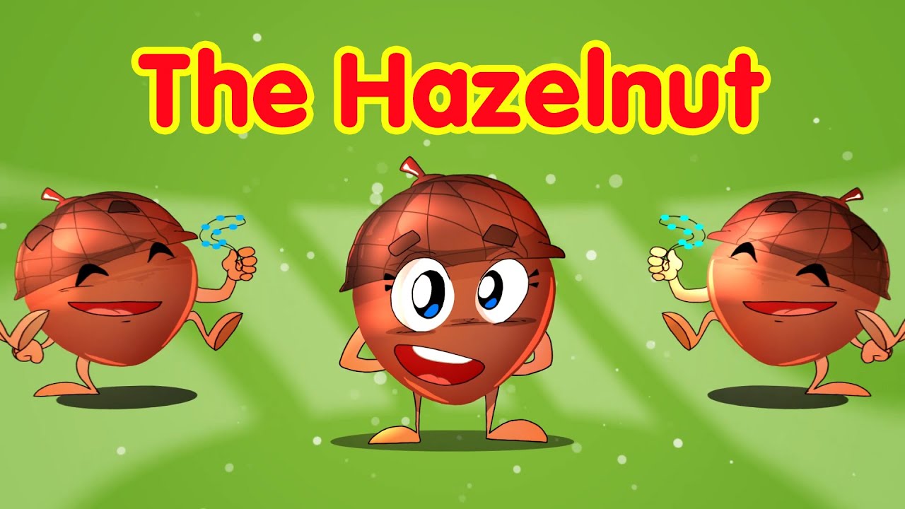 The Hazelnut - Toyor Baby English
