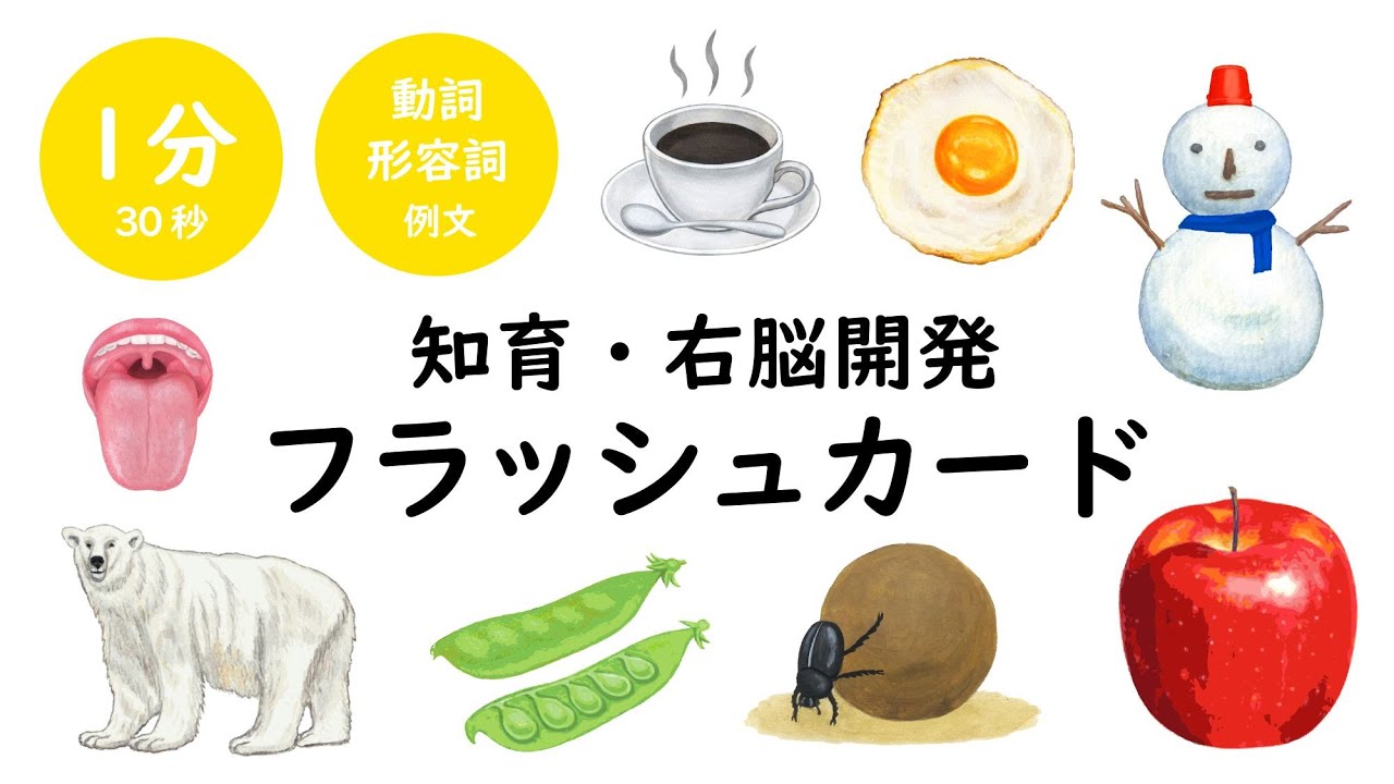 右脳開発MIXフラッシュカード（動詞・形容詞例あり）
