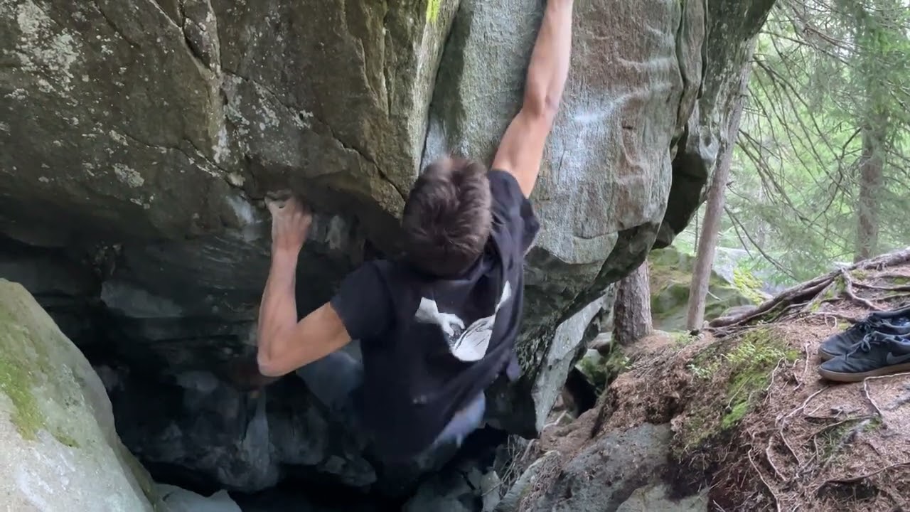 Deep Throat 8b, Magic Wood